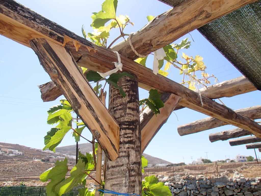 Pavlosx2 Folegandros Town Екстер'єр фото