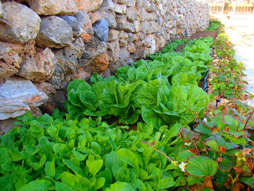 Pavlosx2 Folegandros Town Екстер'єр фото